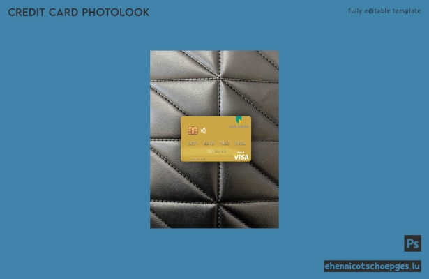 Niederlande ABN AMRO Bank Visa Debitkarte Fotoansicht Beispielvorschau